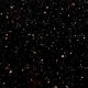 Thiết kế nổi bật với đá granite ốp cầu thang màu đen